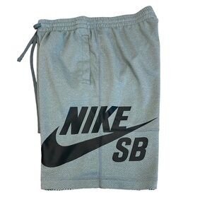 NIKE Mens SB Dry Sunday Shorts Dark Sz S